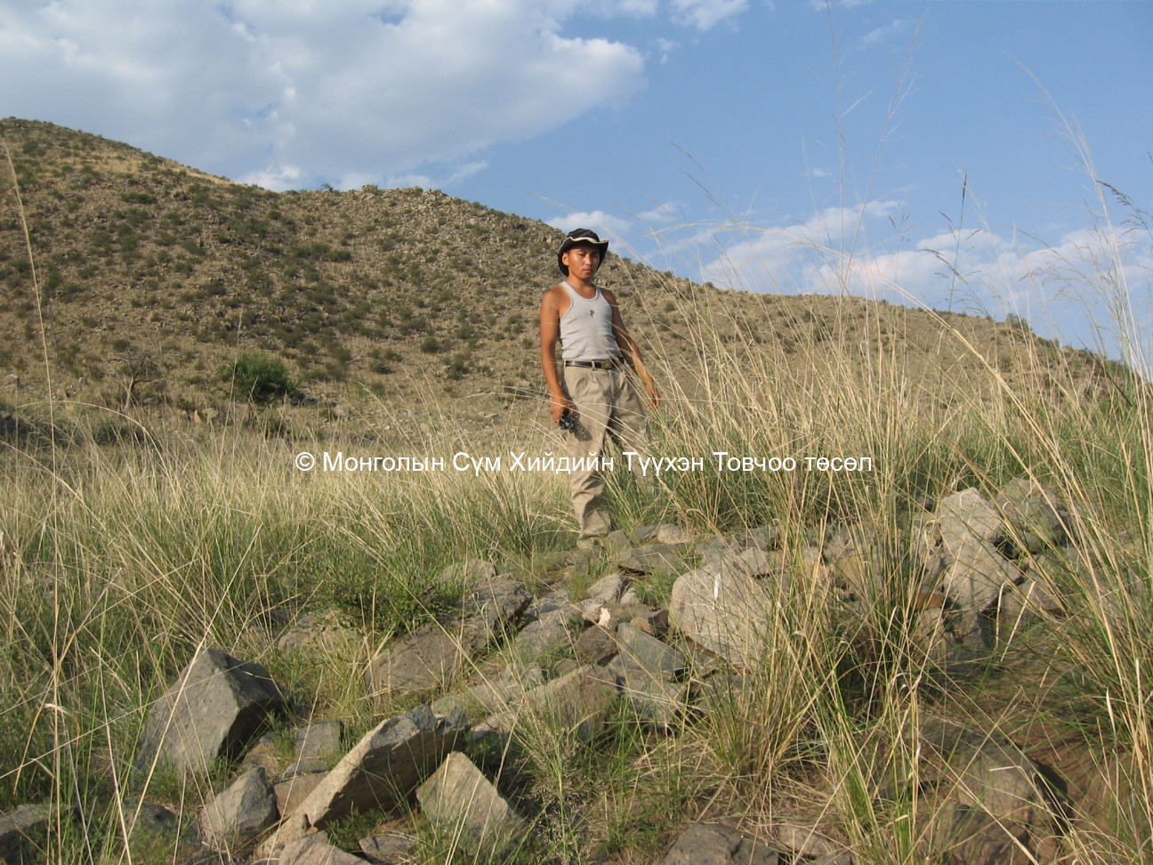 Өмнөд талаас авсан